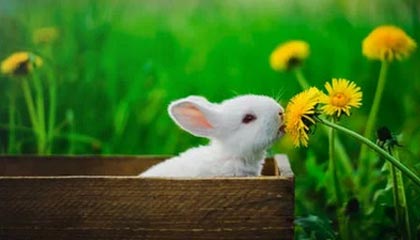 kaiyun sports-世界羽联超级系列赛印尼站，中国选手表现抢眼，印尼羽毛球世界冠军